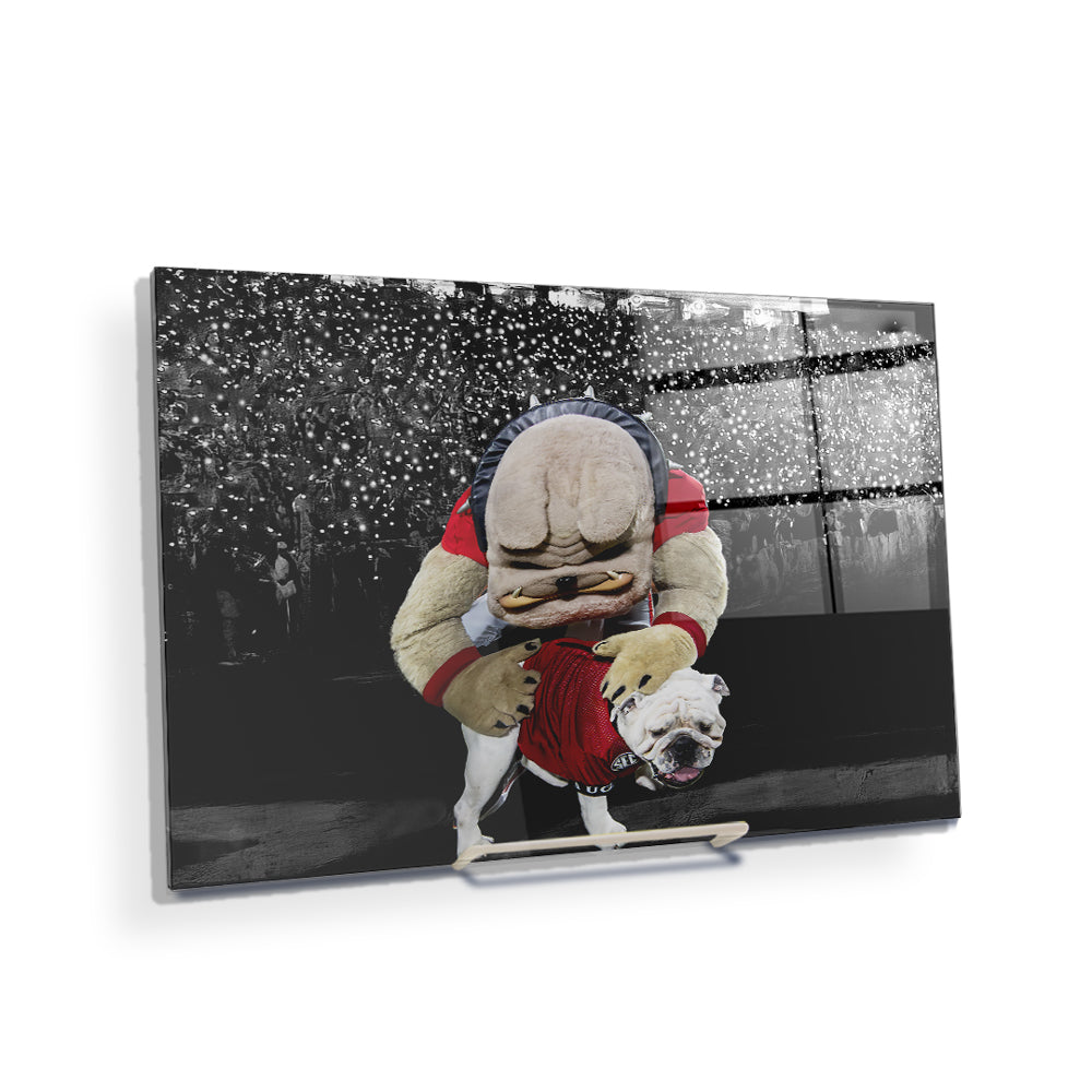 Boom and Hairy under the 4th Quarter Lights - College Wall Art #Canvas