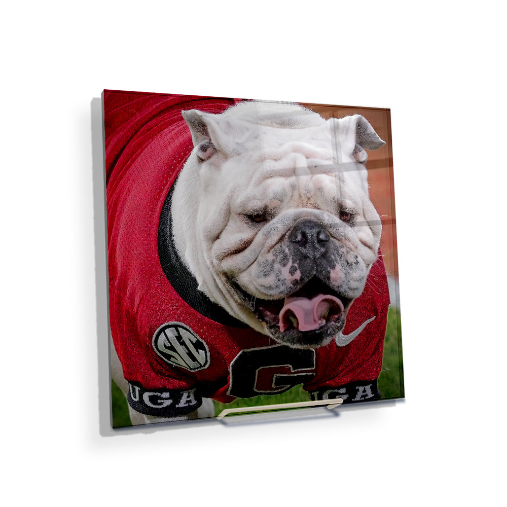 Georgia Bulldogs - Boom's Curled Tongue - College Wall Art #Canvas