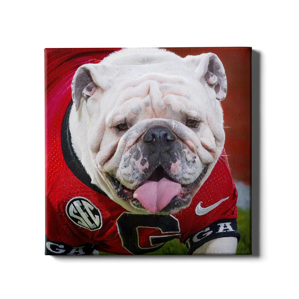   Georgia Bulldogs - Boom Close Up - College Wall Art #Canvas