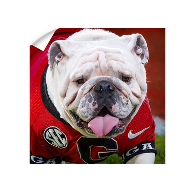 Georgia Bulldogs - Boom Close Up - College Wall Art #Wall Decal
