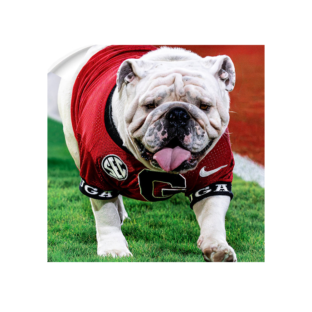 Georgia Bulldogs - Uga XI Boom - College Wall Art #Canvas