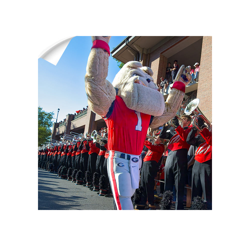 Georgia Bulldogs - Hairy Dawg Walk - College Wall Art #Canvas