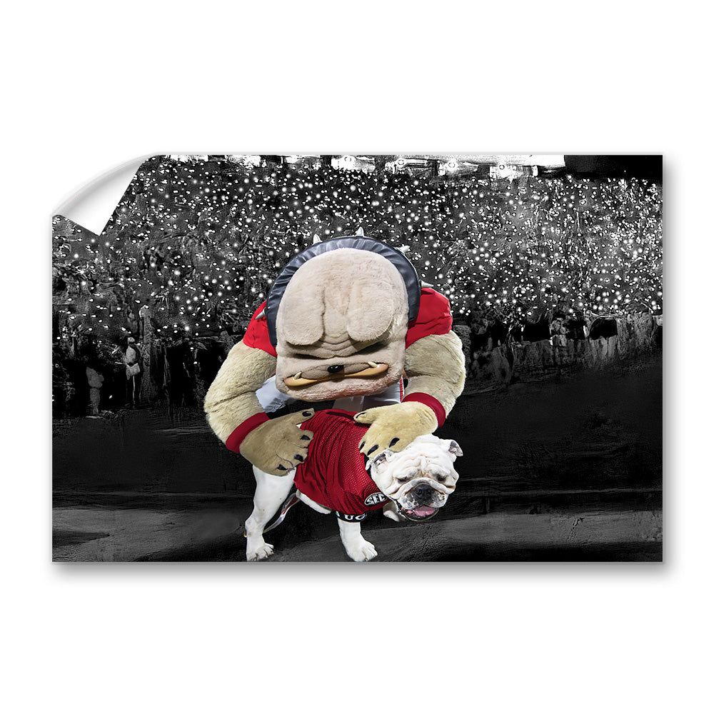 Boom and Hairy under the 4th Quarter Lights - College Wall Art #Canvas