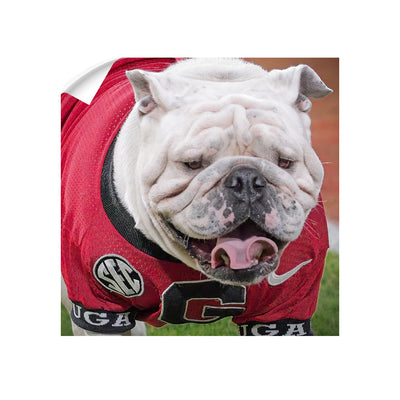 Georgia Bulldogs - Boom's Curled Tongue - College Wall Art #Wall Decal