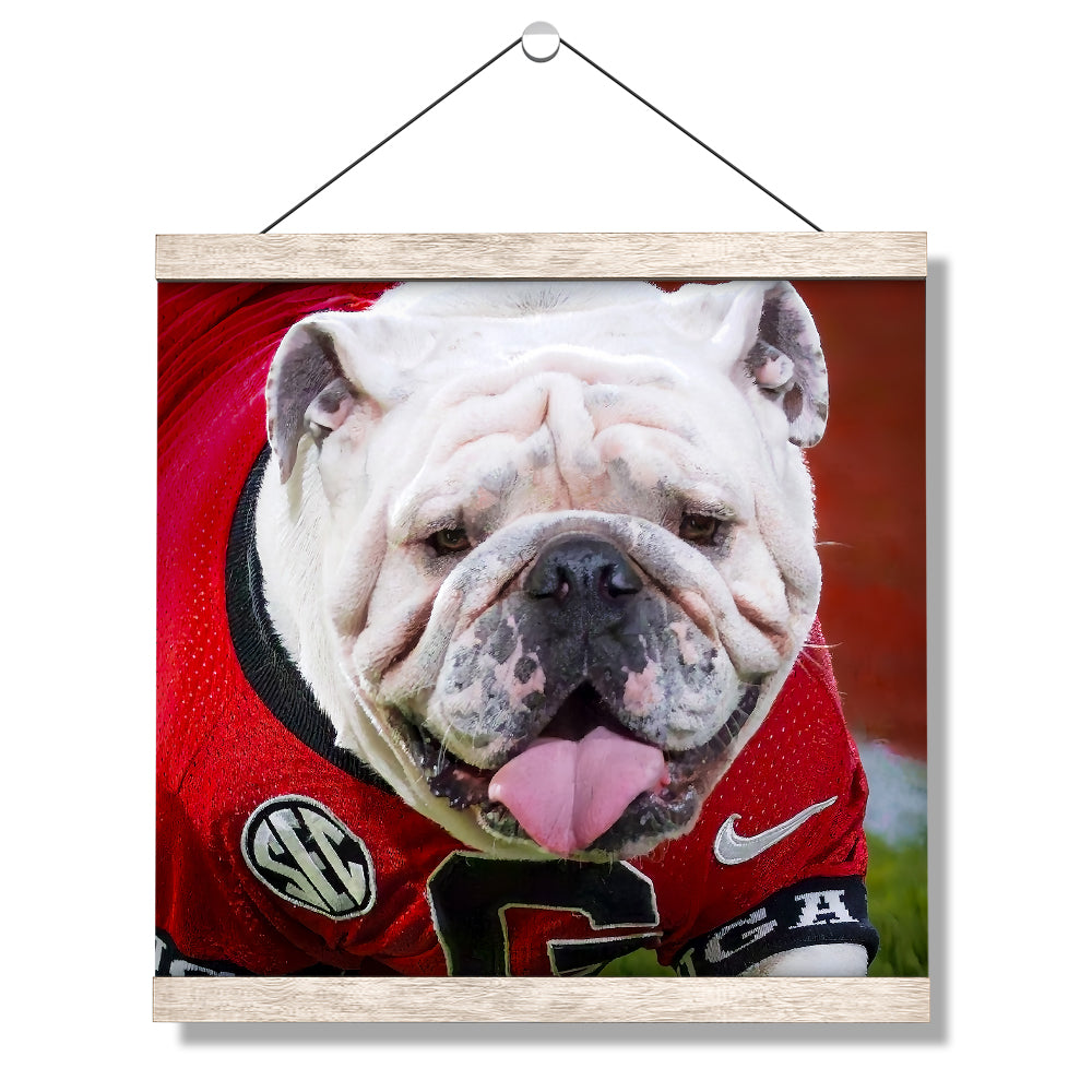   Georgia Bulldogs - Boom Close Up - College Wall Art #Canvas