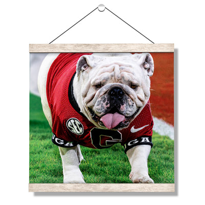 Georgia Bulldogs - Uga XI Boom - College Wall Art #Hanging Canvas