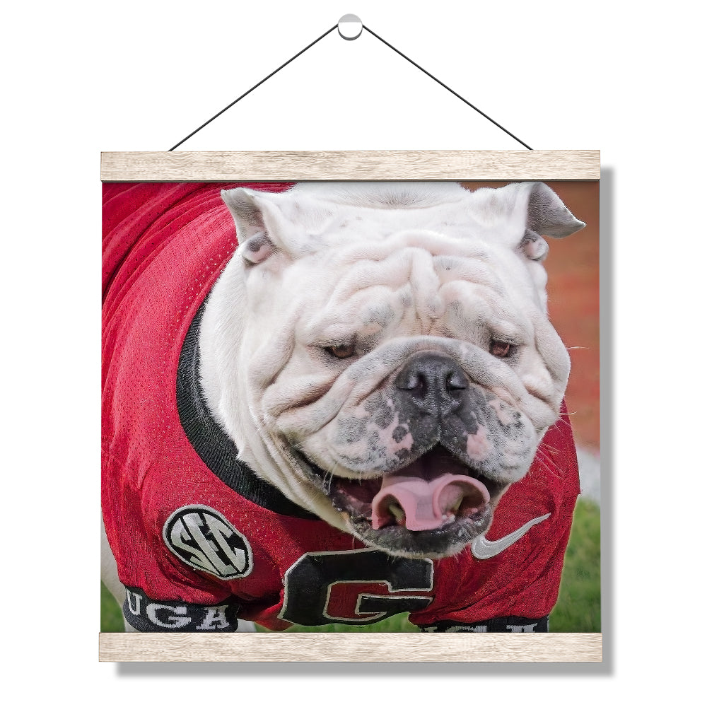 Georgia Bulldogs - Boom's Curled Tongue - College Wall Art #Canvas