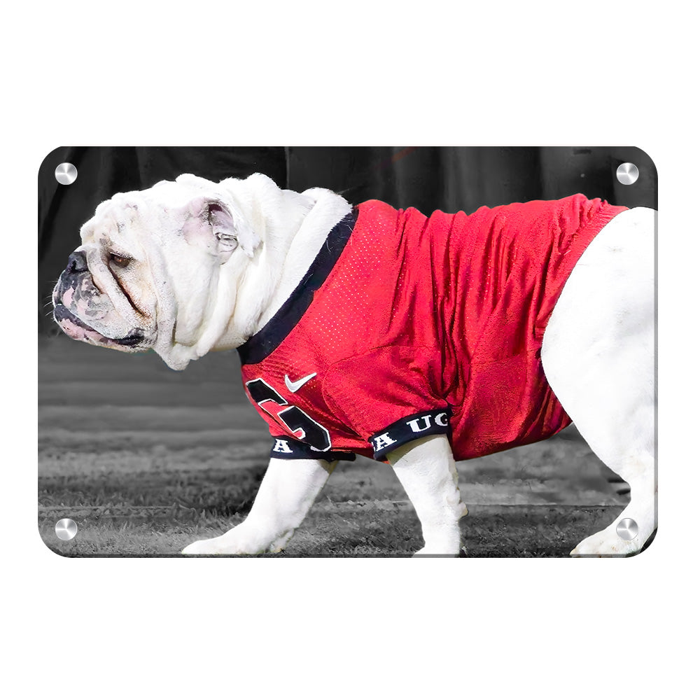 Georgia Bulldogs - Uga XI - College Wall Art #Canvas