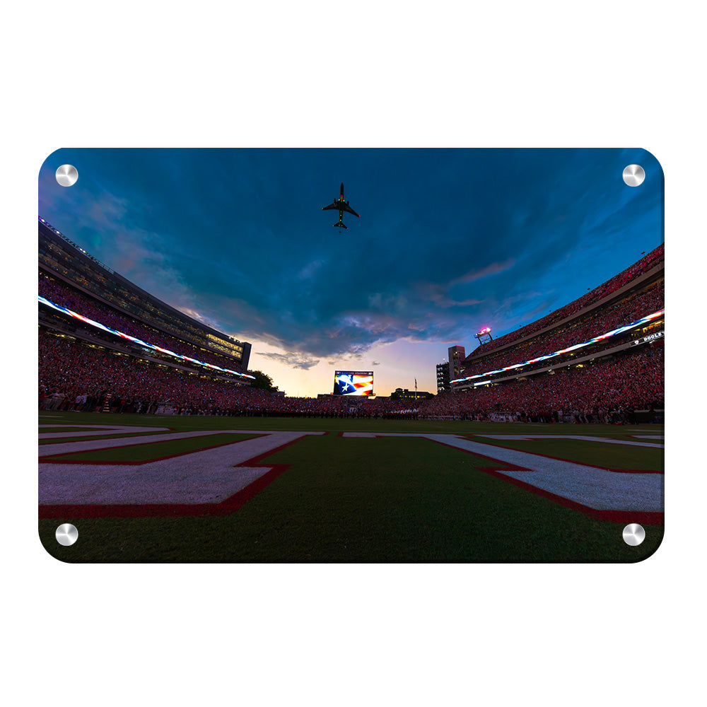 Georgia Bulldogs - Georgia Dawgs Flyover - College Wall Art #Canvas