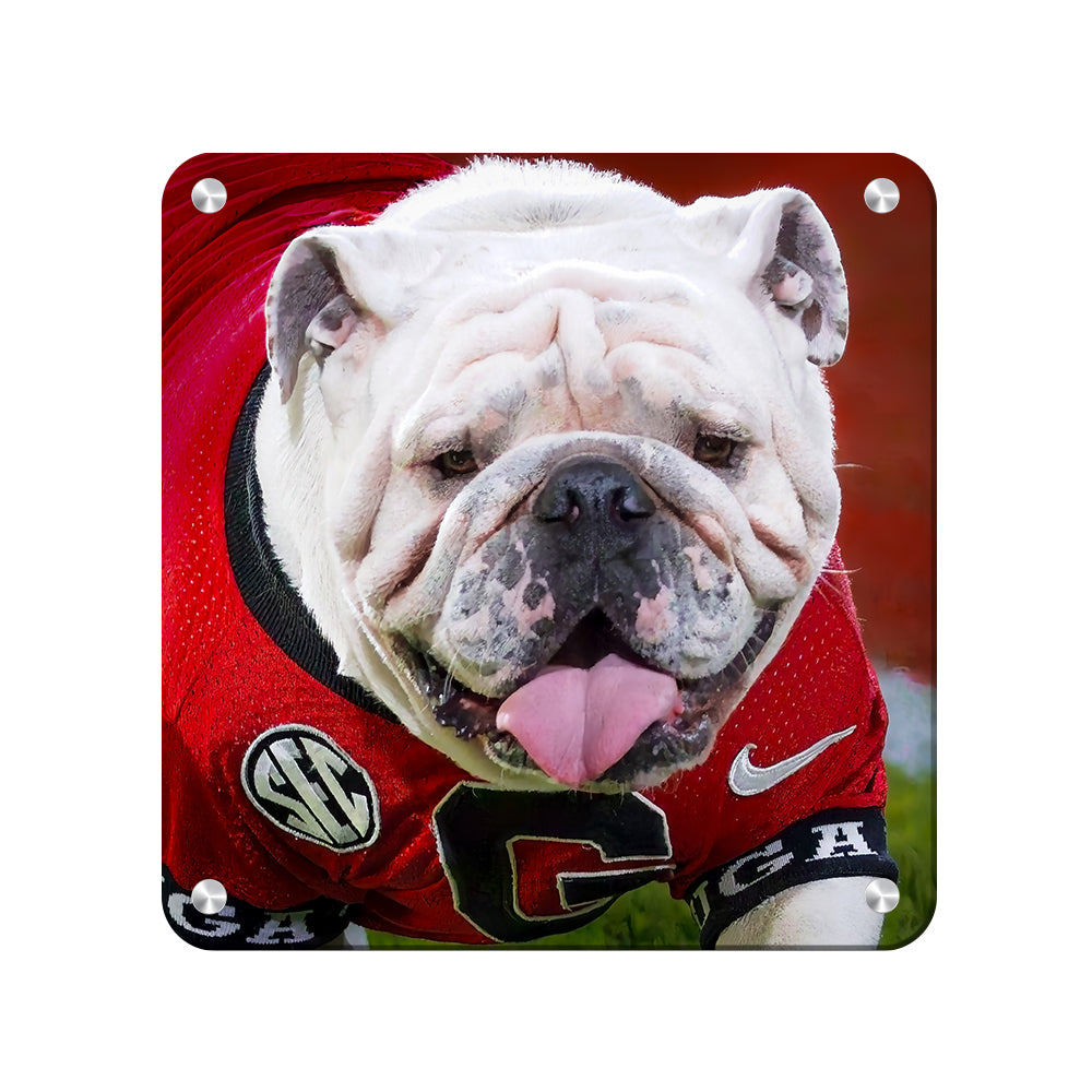   Georgia Bulldogs - Boom Close Up - College Wall Art #Canvas