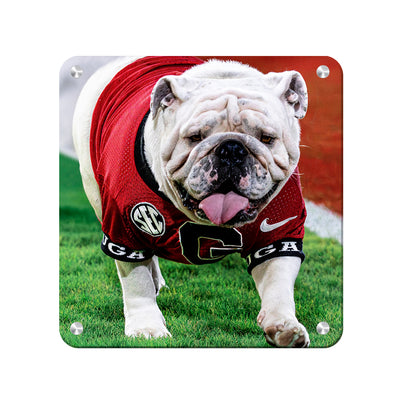 Georgia Bulldogs - Uga XI Boom - College Wall Art #Metal