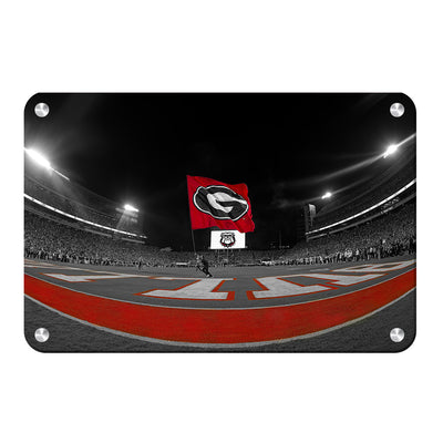 Georgia Bulldogs - Go Bulldogs - College Wall Art #Metal