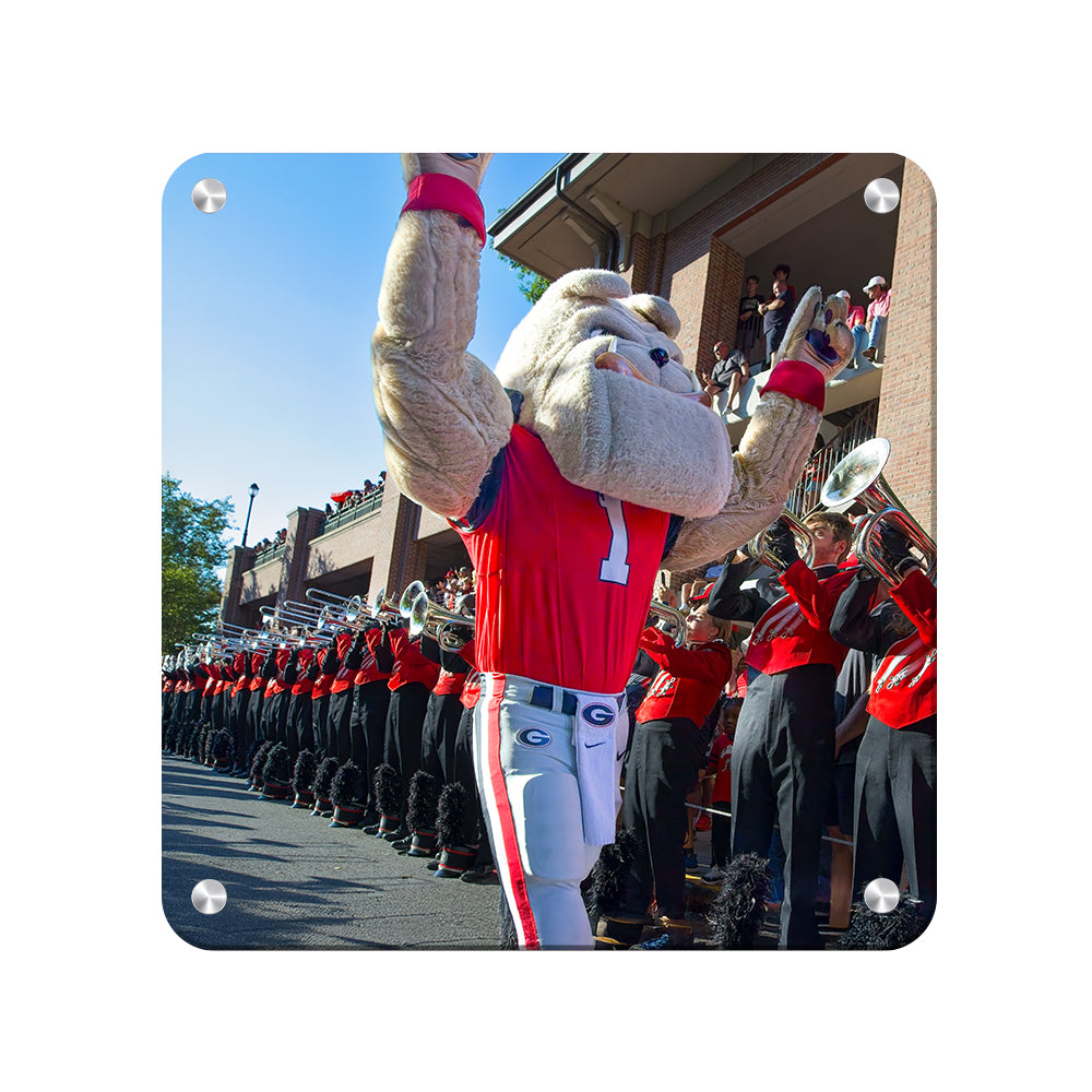 Georgia Bulldogs - Hairy Dawg Walk - College Wall Art #Canvas