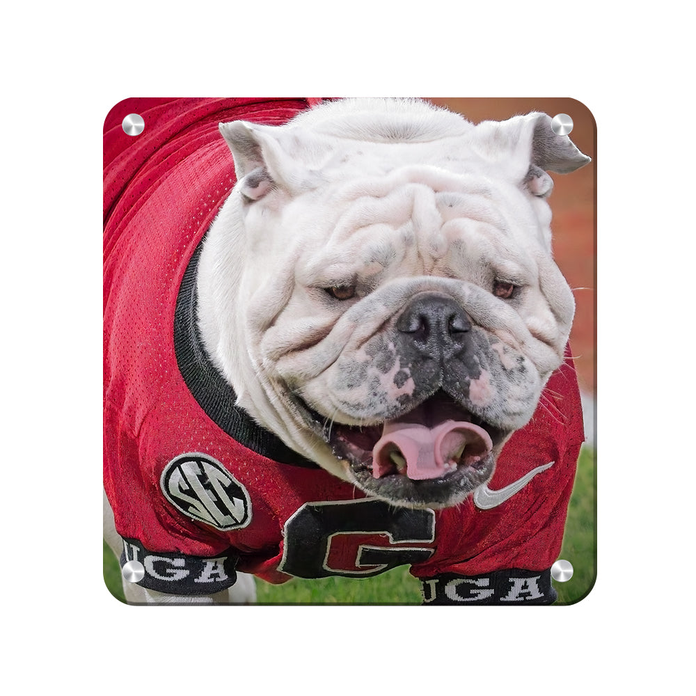 Georgia Bulldogs - Boom's Curled Tongue - College Wall Art #Canvas