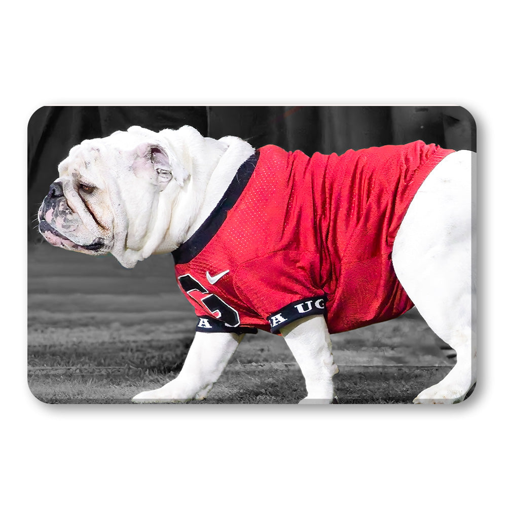 Georgia Bulldogs - Uga XI - College Wall Art #Canvas