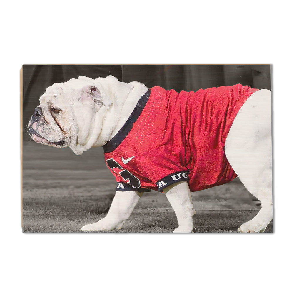 Georgia Bulldogs - Uga XI - College Wall Art #Canvas