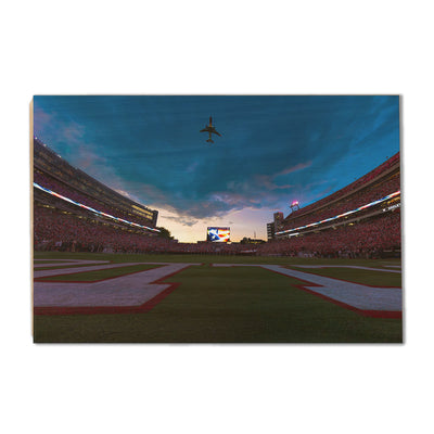 Georgia Bulldogs - Georgia Dawgs Flyover - College Wall Art #Wood