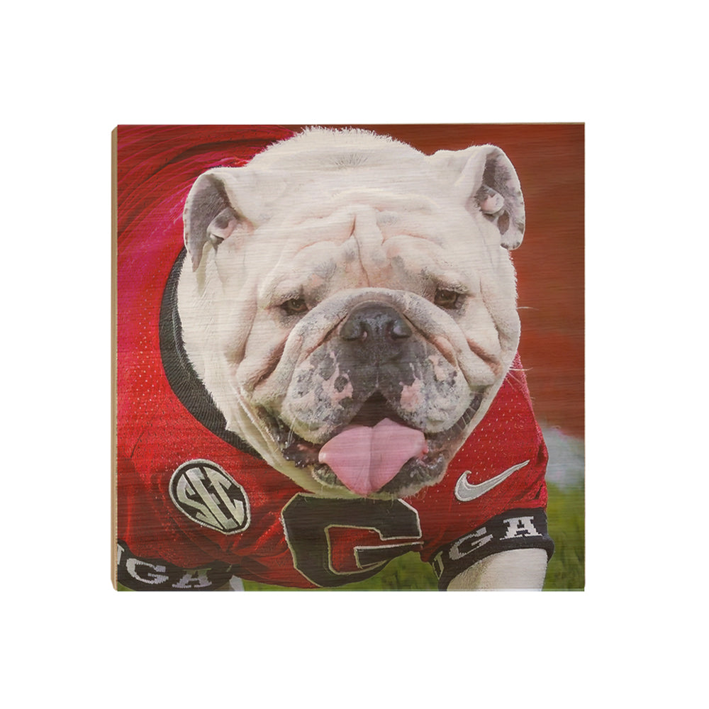   Georgia Bulldogs - Boom Close Up - College Wall Art #Canvas
