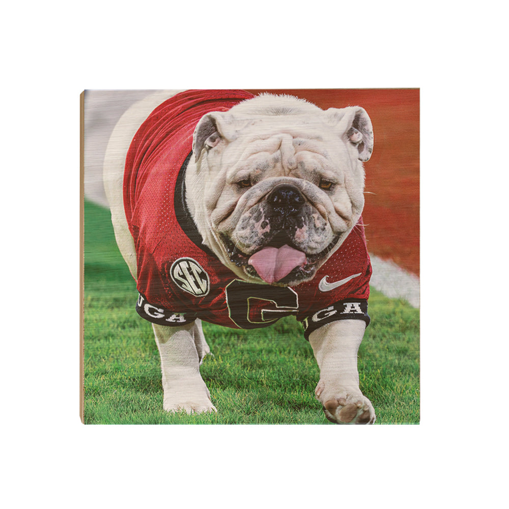 Georgia Bulldogs - Uga XI Boom - College Wall Art #Canvas