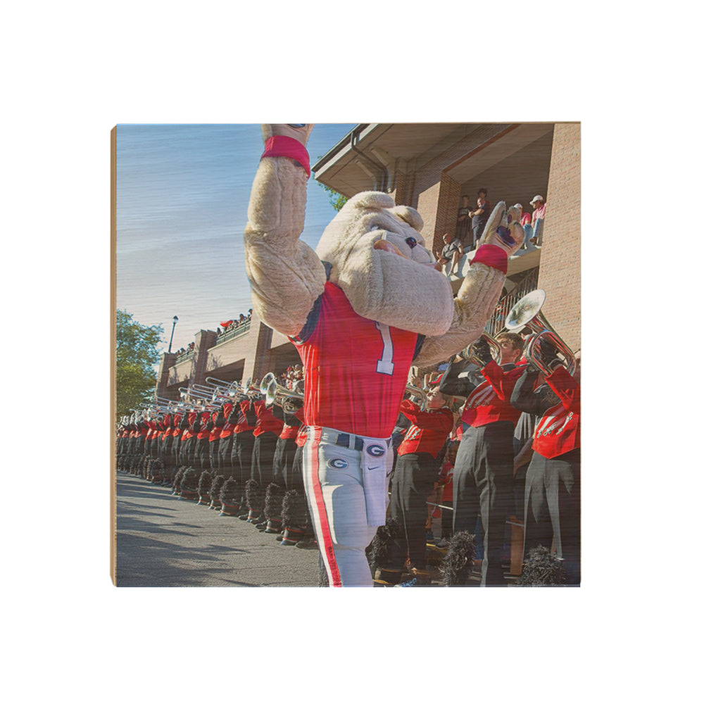 Georgia Bulldogs - Hairy Dawg Walk - College Wall Art #Canvas