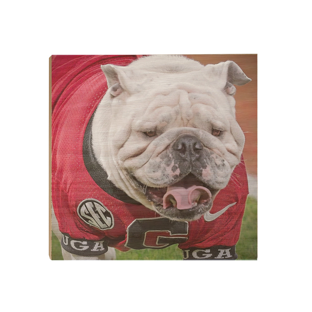 Georgia Bulldogs - Boom's Curled Tongue - College Wall Art #Canvas