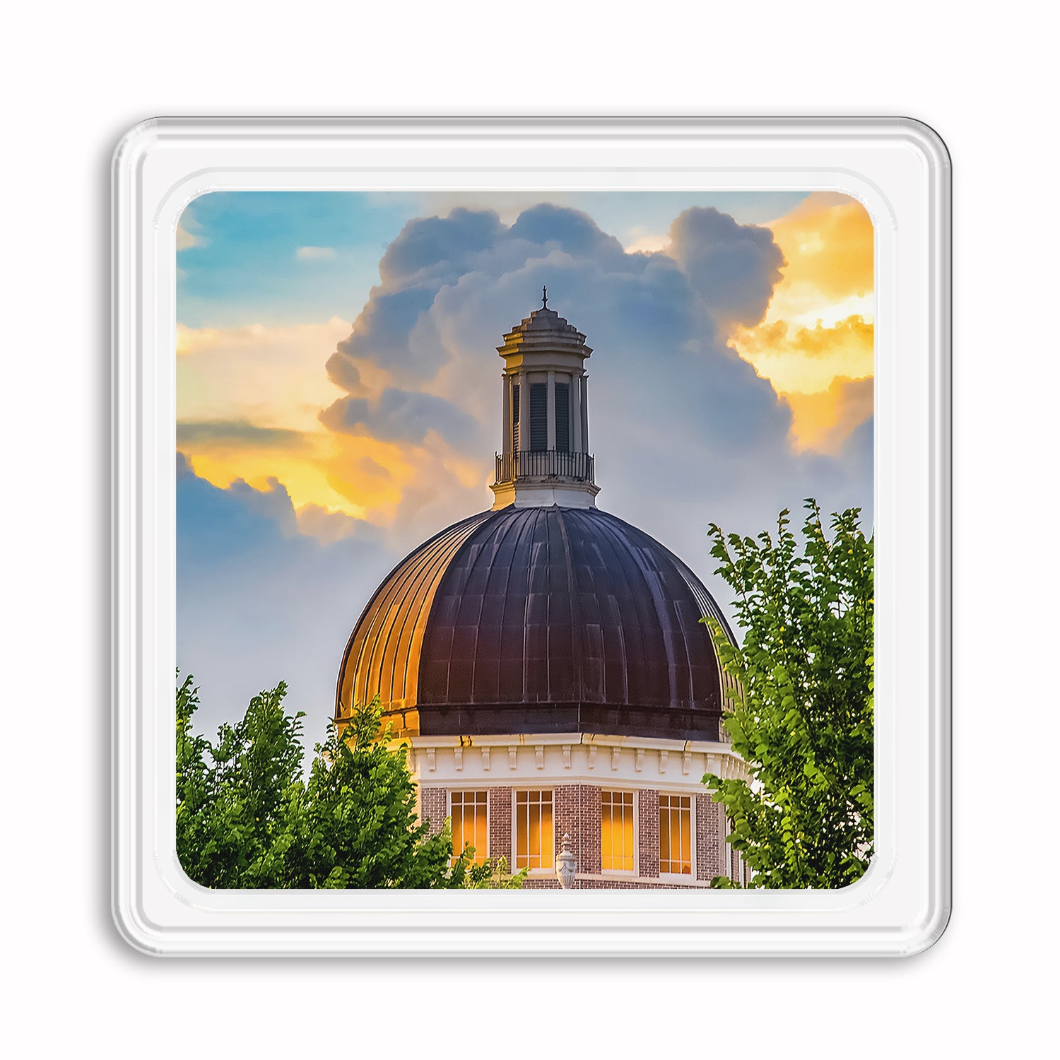 Southern Miss Golden Eagles - Evening Dome Drink Coaster