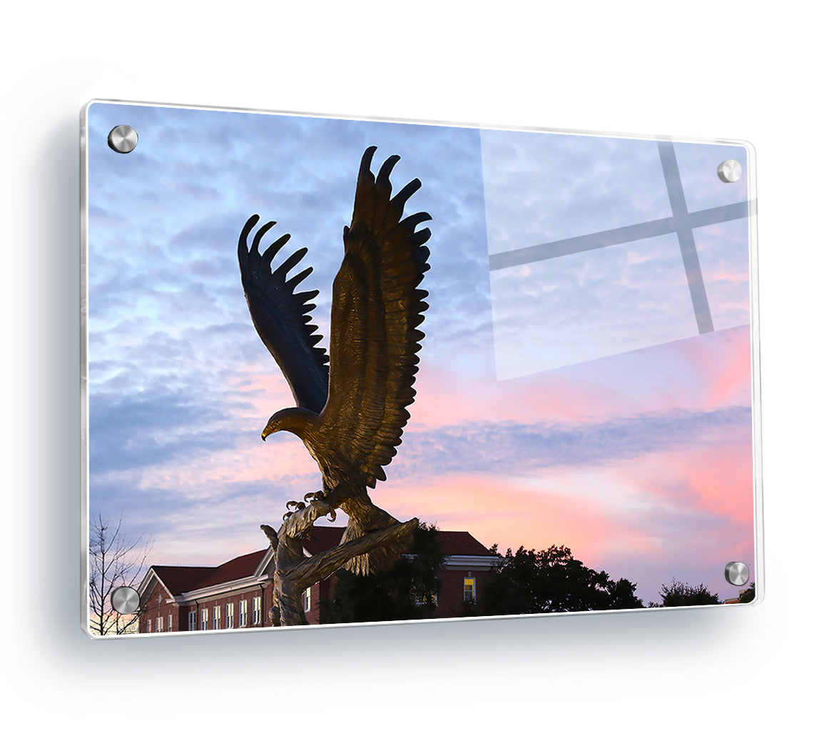Southern Miss Golden Eagles - Lofty - College Wall Art #Canvas