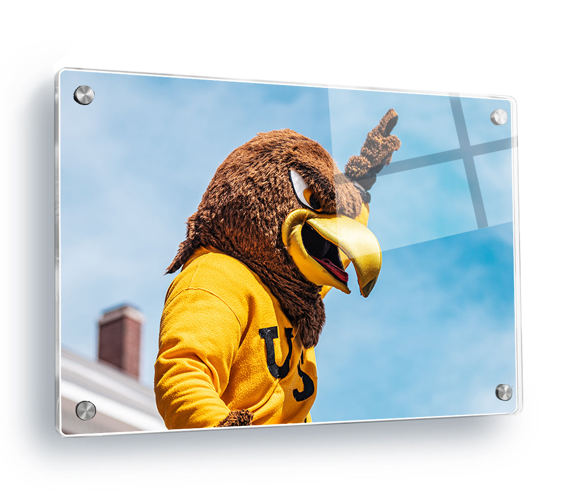 Southern Miss Golden Eagles - Seymour d’Campus - College Wall Art #Canvas