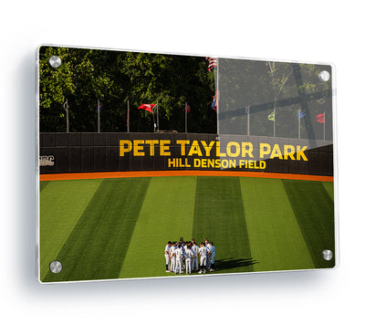 Southern Miss Golden Eagles - Pete Taylor Park Hill Denson Field - College Wall Art #Acrylic