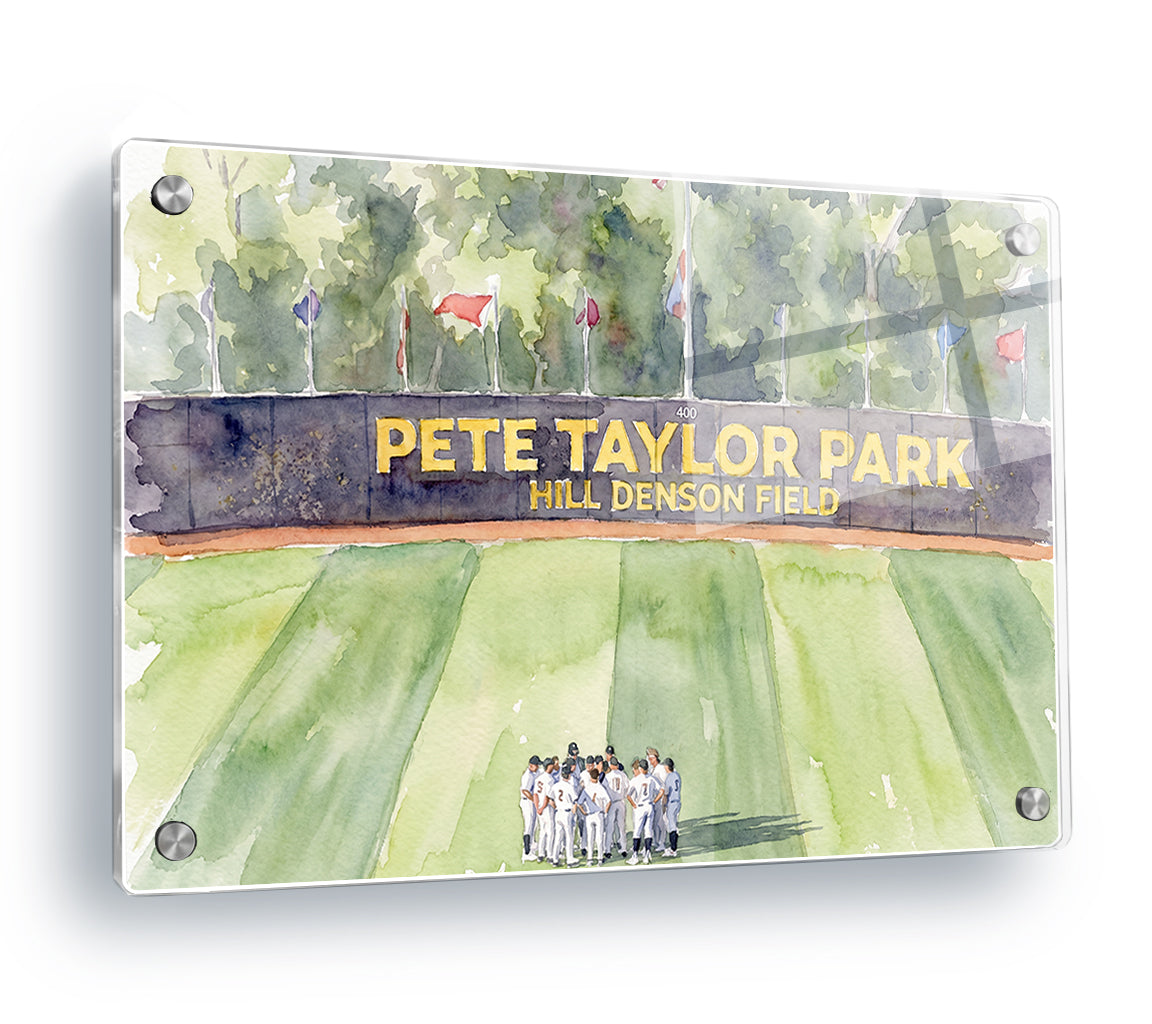 Southern Miss Golden Eagles - Pete Taylor Park Watercolor - College Wall Art #Canvas