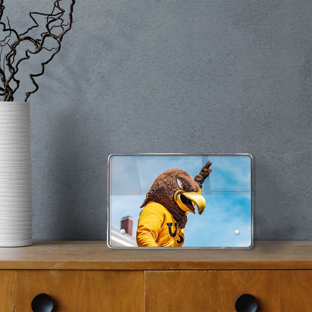 Southern Miss Golden Eagles - Seymour d’Campus - College Wall Art #Canvas