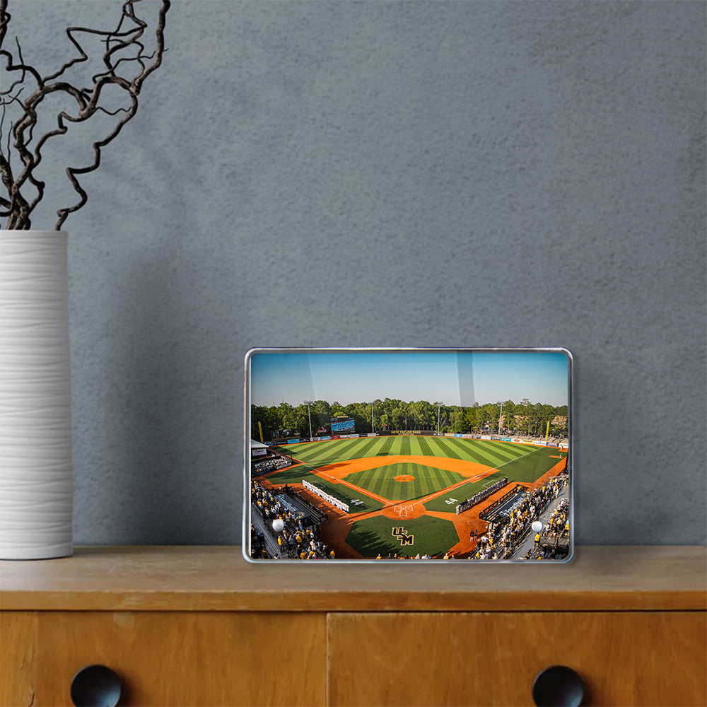 Southern Miss Golden Eagles - Pete Taylor Park - College Wall Art #Canvas