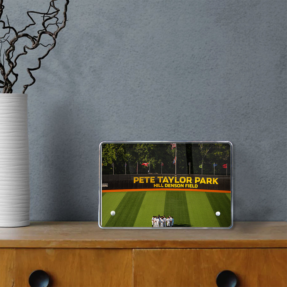 Southern Miss Golden Eagles - Pete Taylor Park Hill Denson Field - College Wall Art #Canvas