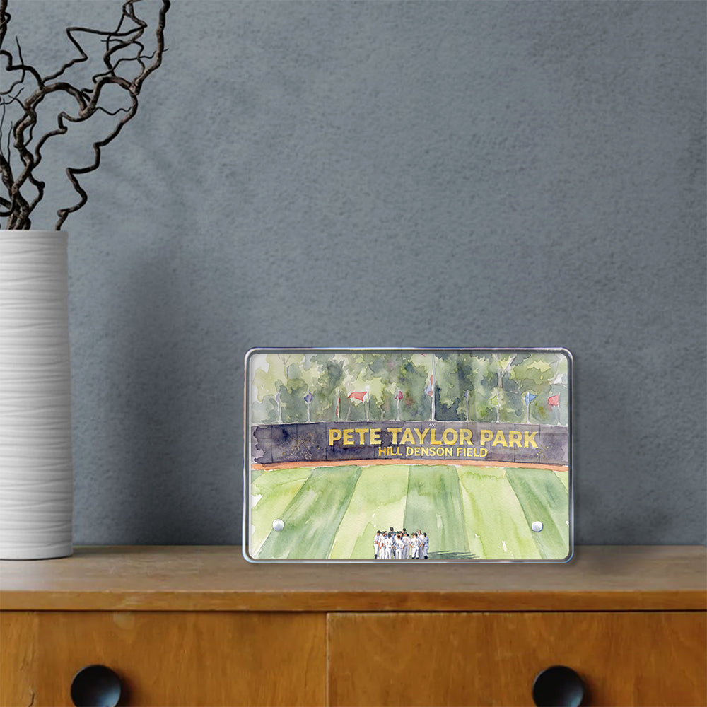 Southern Miss Golden Eagles - Pete Taylor Park Watercolor - College Wall Art #Canvas