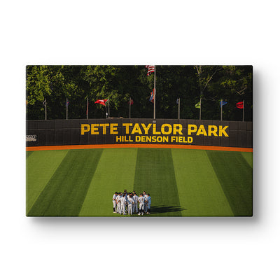 Southern Miss Golden Eagles - Pete Taylor Park Hill Denson Field - College Wall Art #Canvas