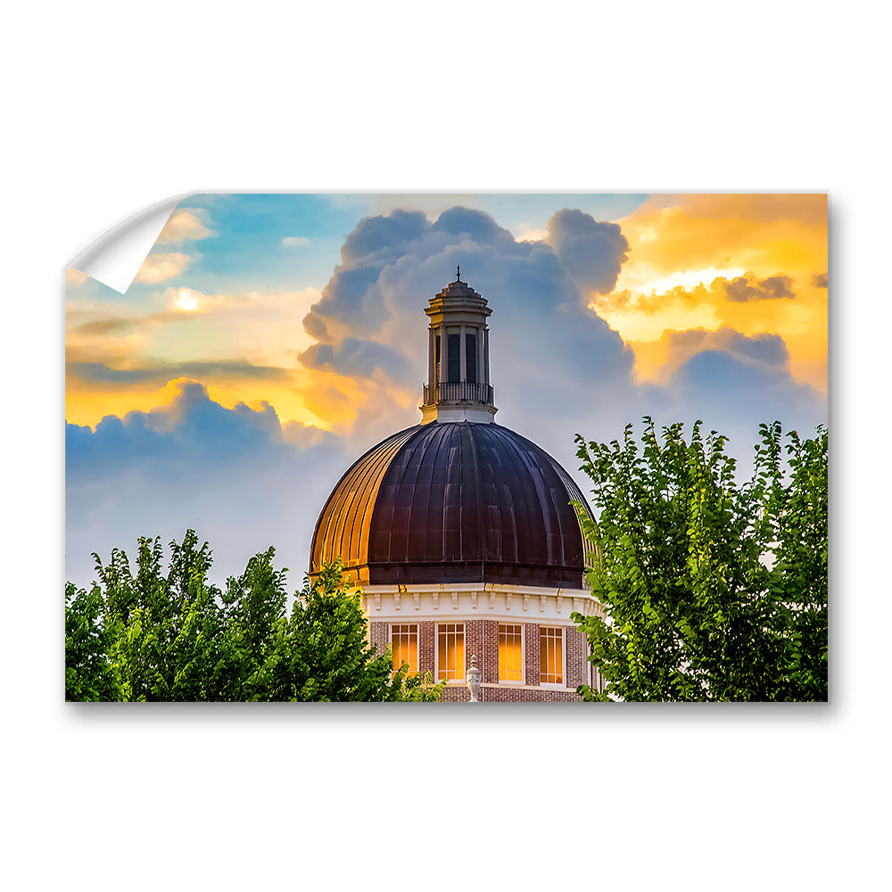 Southern Miss Golden Eagles - Evening Dome - College Wall Art #Canvas