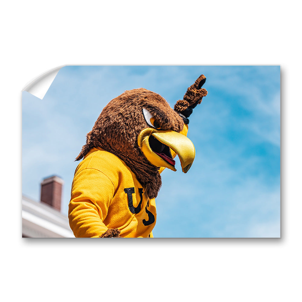 Southern Miss Golden Eagles - Seymour d’Campus - College Wall Art #Canvas