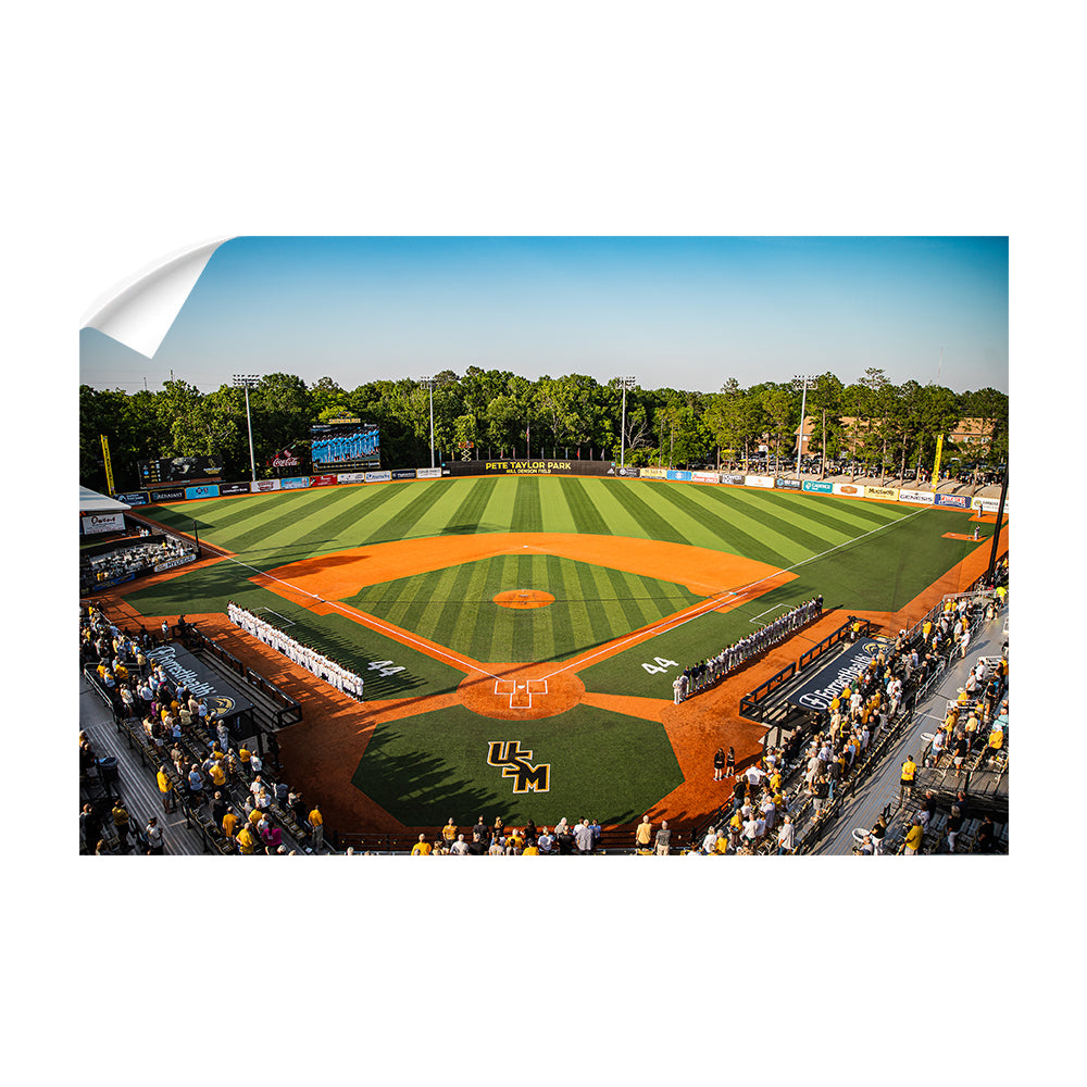 Southern Miss Golden Eagles - Pete Taylor Park - College Wall Art #Canvas