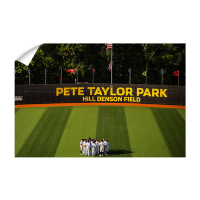 Southern Miss Golden Eagles - Pete Taylor Park Hill Denson Field - College Wall Art #Wall Murals