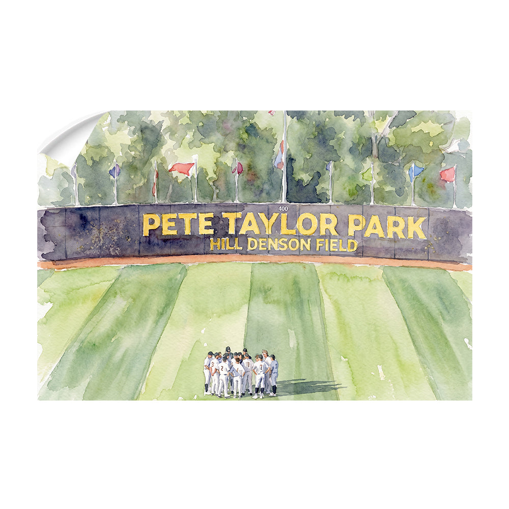 Southern Miss Golden Eagles - Pete Taylor Park Watercolor - College Wall Art #Canvas