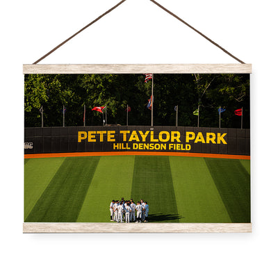 Southern Miss Golden Eagles - Pete Taylor Park Hill Denson Field - College Wall Art #Hanging Canvas