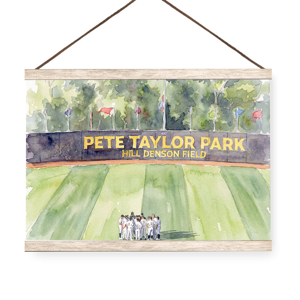 Southern Miss Golden Eagles - Pete Taylor Park Watercolor - College Wall Art #Canvas