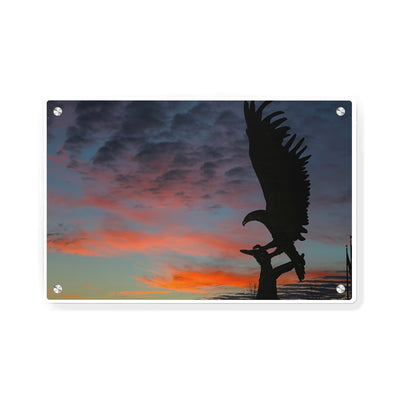 Southern Miss Golden Eagles - Lofty Sunset - College Wall Art #Metal