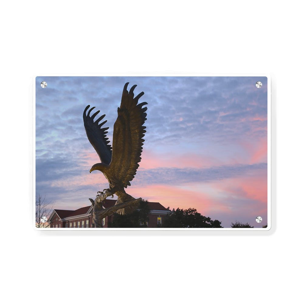 Southern Miss Golden Eagles - Lofty - College Wall Art #Canvas