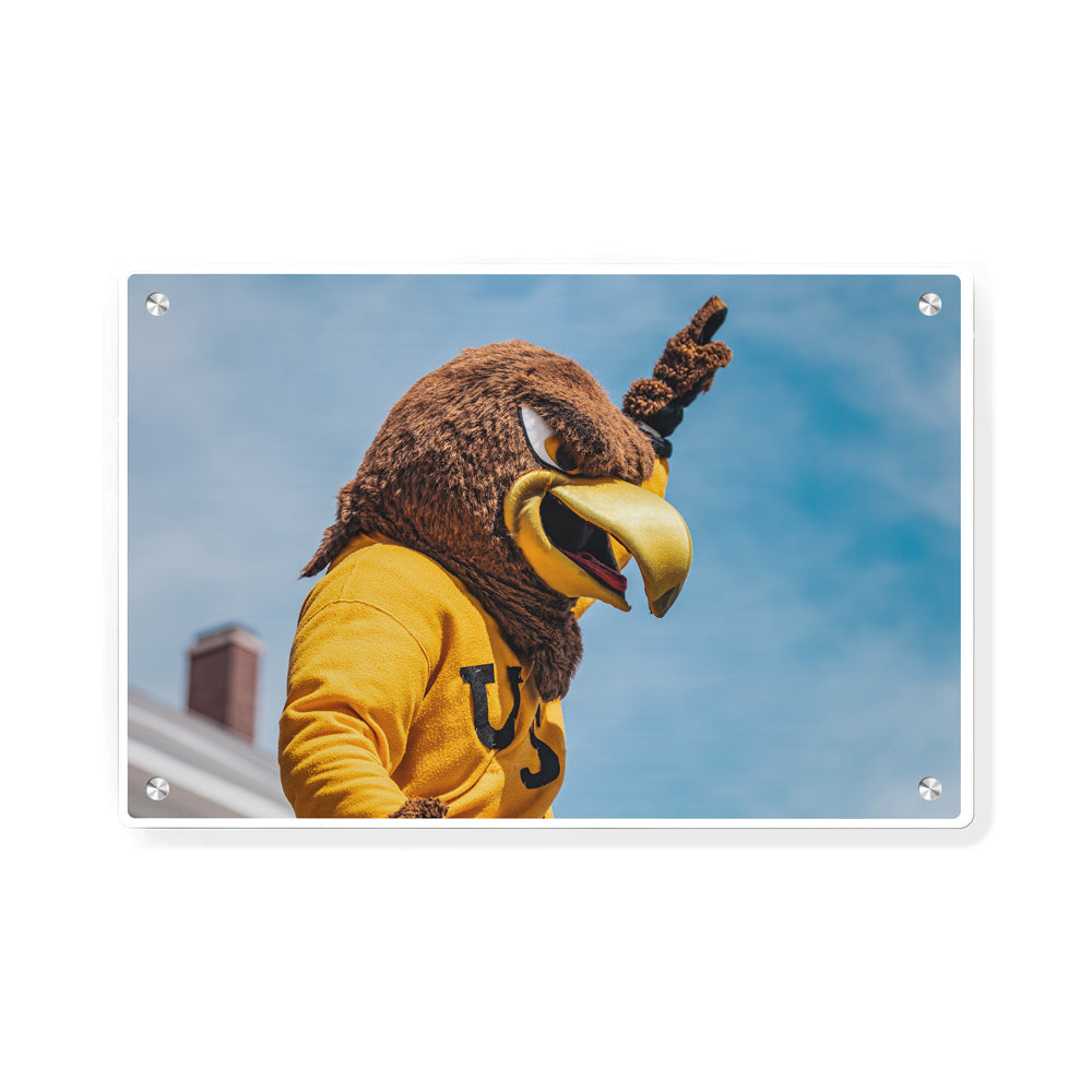 Southern Miss Golden Eagles - Seymour d’Campus - College Wall Art #Canvas