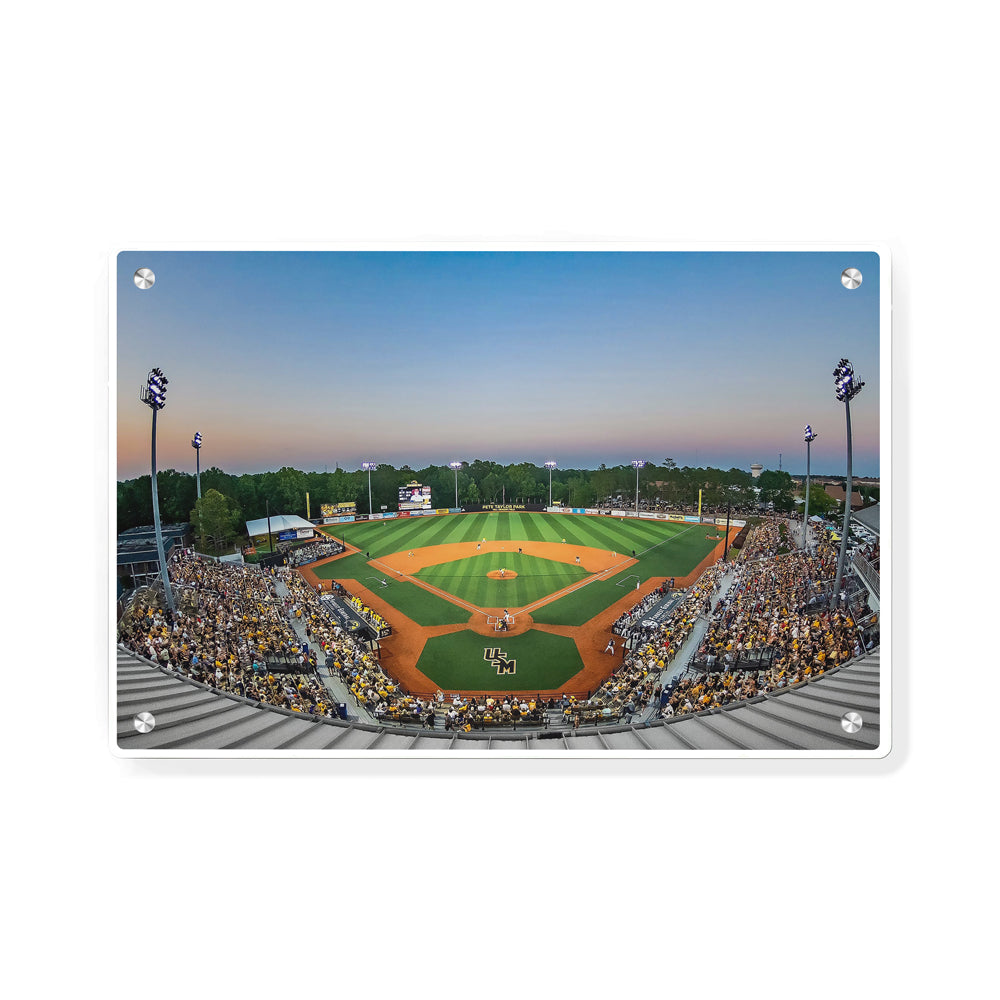 Southern Miss Golden Eagles - Pete Taylor Park - College Wall Art #Canvas