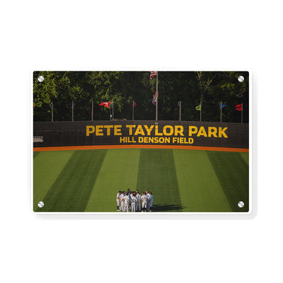 Southern Miss Golden Eagles - Pete Taylor Park Hill Denson Field - College Wall Art #Metal Wall Art