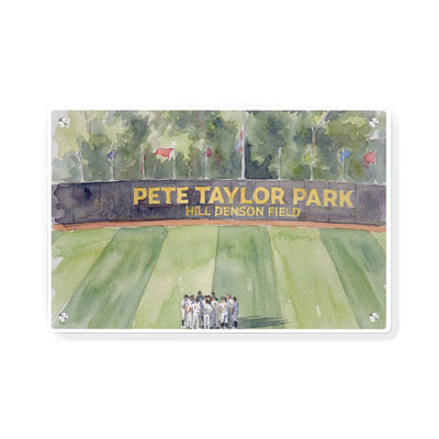 Southern Miss Golden Eagles - Pete Taylor Park Watercolor
