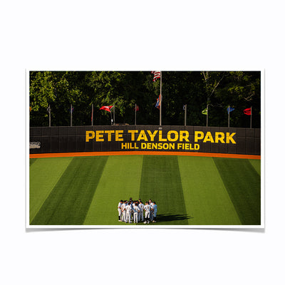 Southern Miss Golden Eagles - Pete Taylor Park Hill Denson Field - College Wall Art #Photo Posters