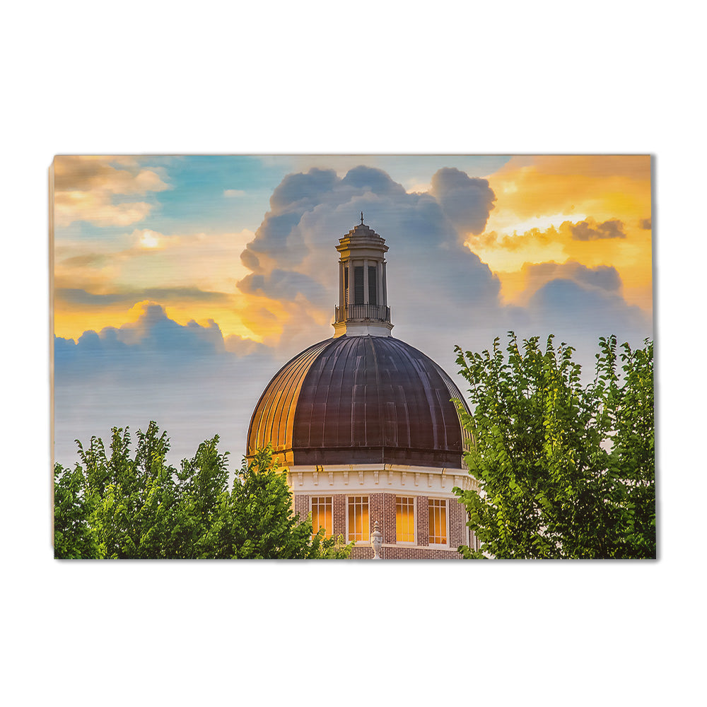 Southern Miss Golden Eagles - Evening Dome - College Wall Art #Canvas